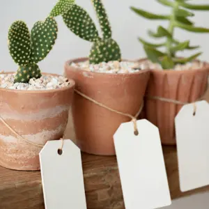 cute-cacti-terracotta-pots-with-blank-paper-labels 1