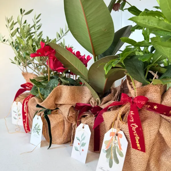 Božićno poklon pakiranje umotano u prirodnu jutu s crvenim vrpcama i prigodnom blagdanskom porukom.