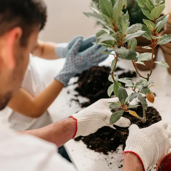 father-son-planting-together-pots-home 1