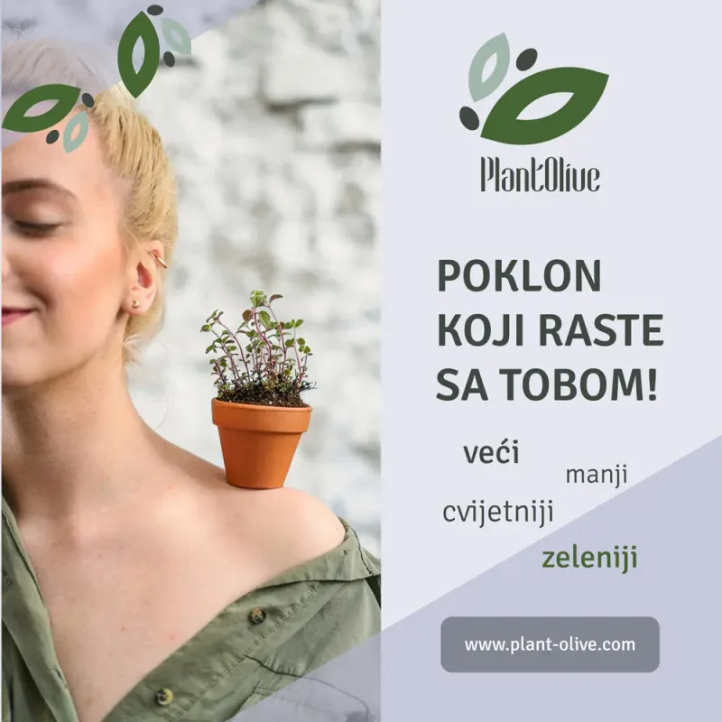 poklon-koji-raste